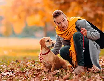 Femme qui caresse son chien sur un sol de feuilles mortes